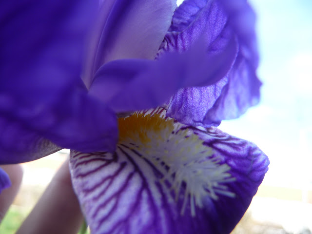 P1030454.JPG