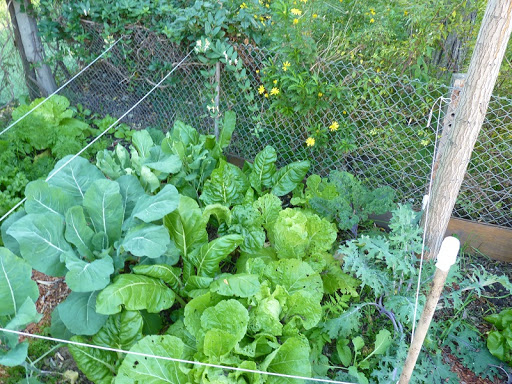 P1030459.JPG
