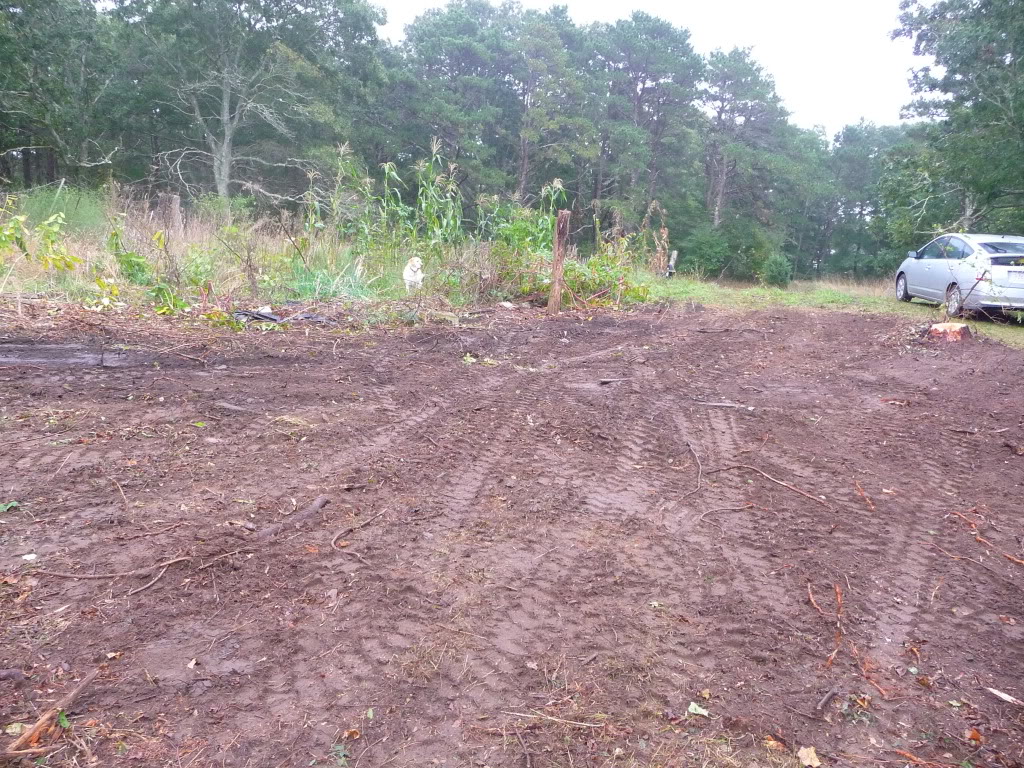 P1030641.jpg