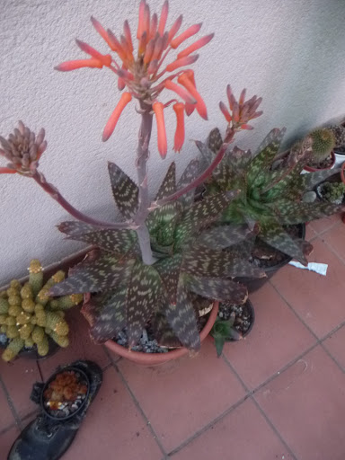 P1030643.JPG