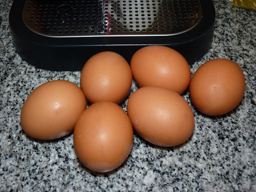 P1030674.JPG