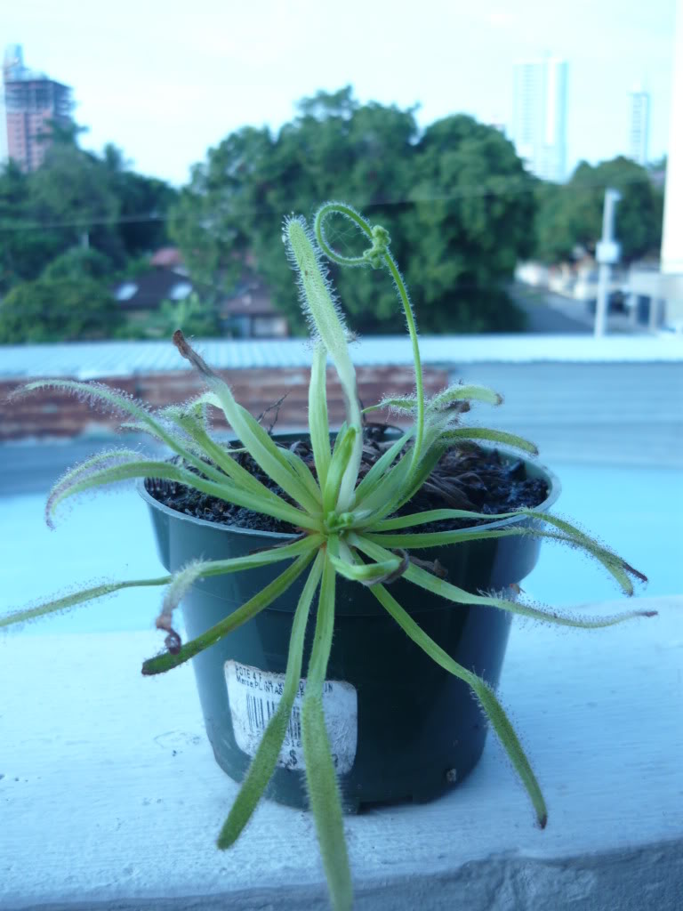P1030835.jpg