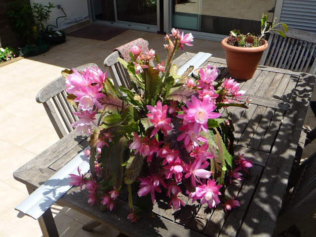 P1030843.JPG