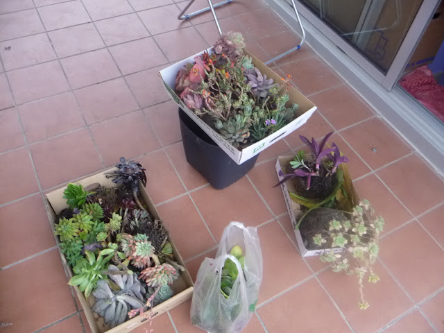 P1030849.JPG