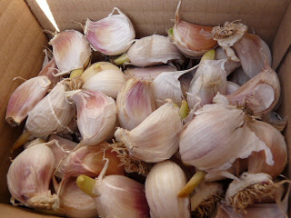 P1040021.JPG