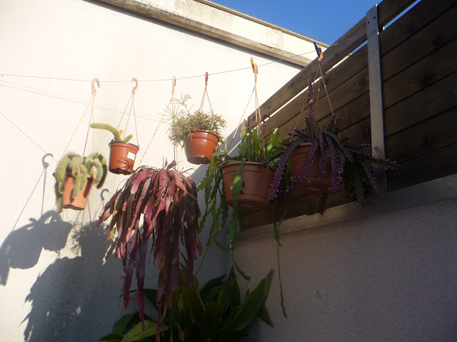 P1040041.JPG