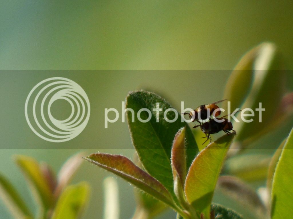 P1040487_zps89na3hfs.jpg