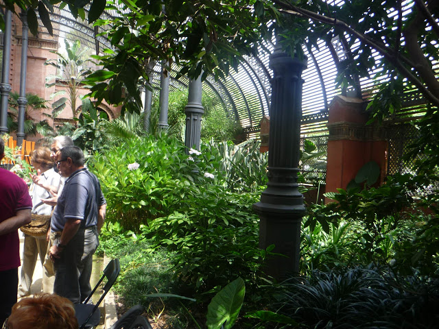 P1040540.JPG