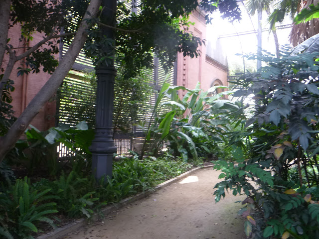 P1040541.JPG