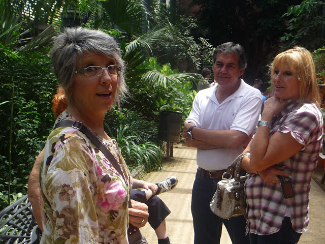 P1040571.JPG