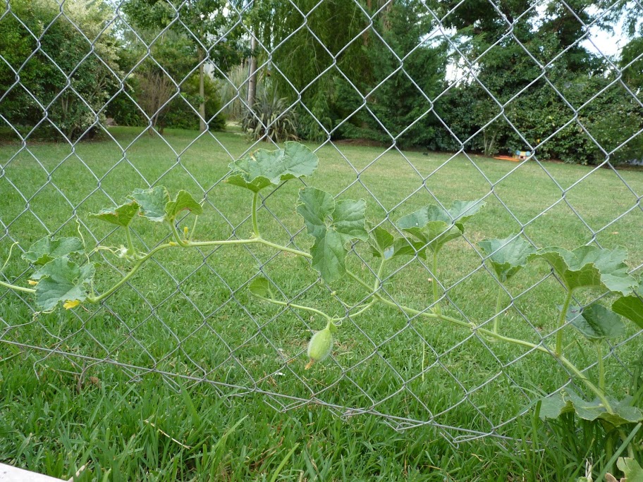 P1050012.JPG