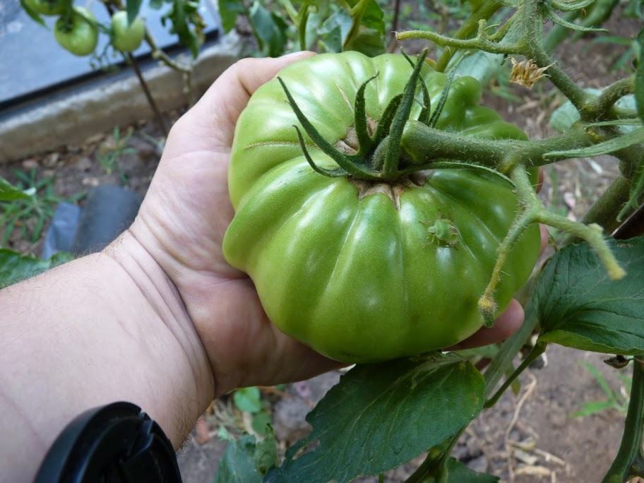 P1050025.JPG