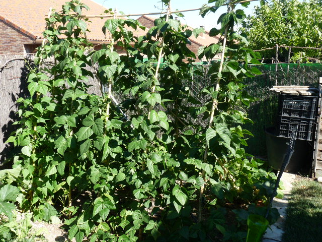 p10500791.jpg