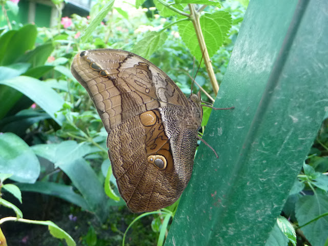 P1050161.JPG