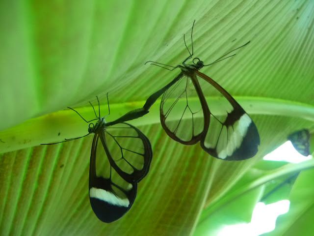 P1050171.JPG