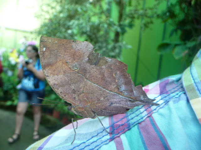 P1050173.JPG