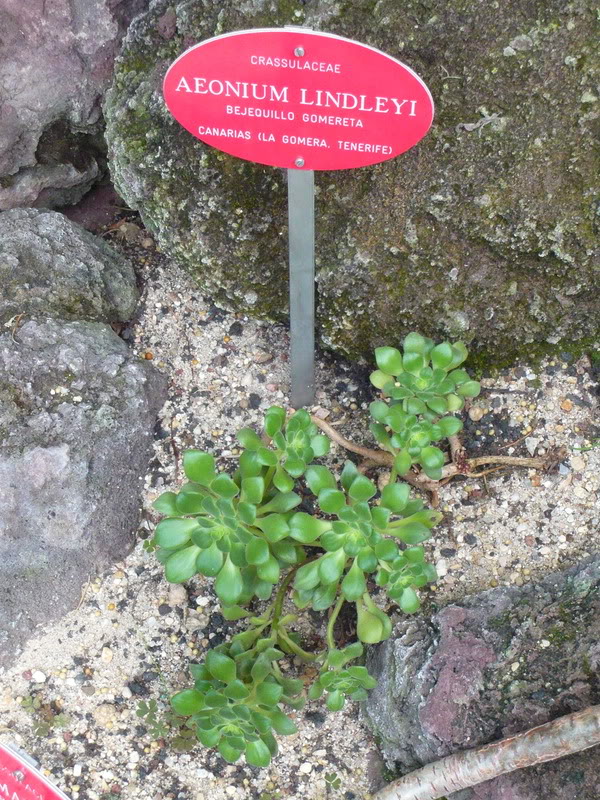 P1050197.jpg