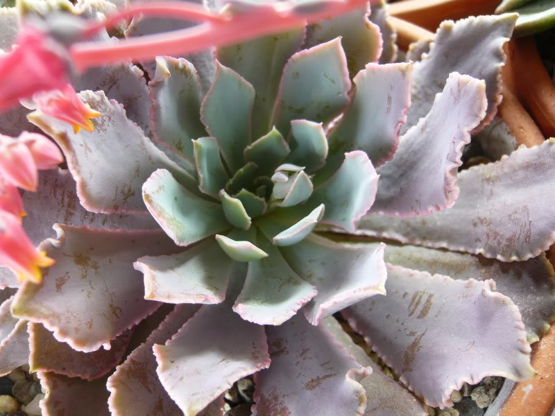 P1050211.jpg