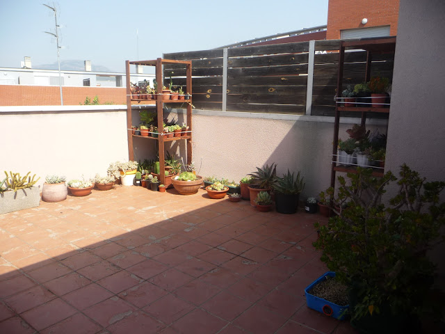 P1050346.JPG