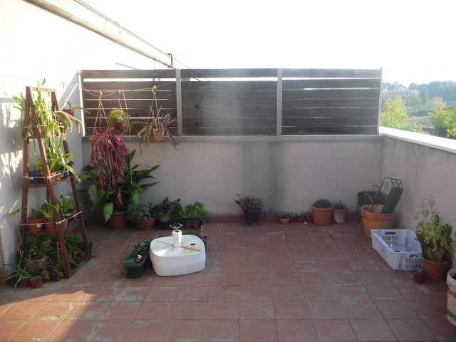 P1050348.JPG