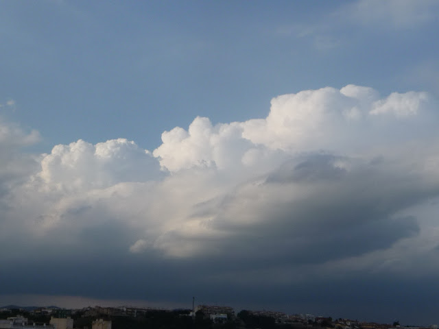 P1050362.JPG