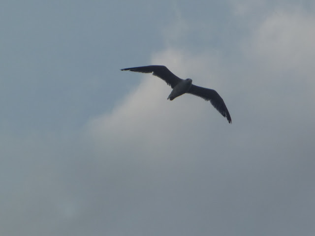 P1050364.JPG