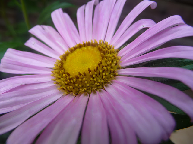 P1050380.JPG