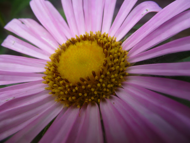 P1050381.JPG