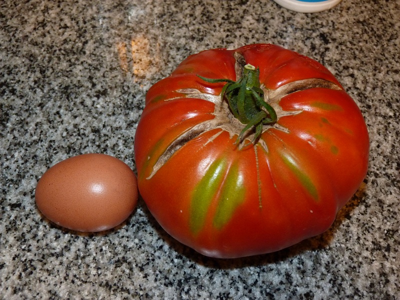 P1050481.JPG