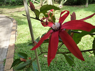 P1050821.JPG