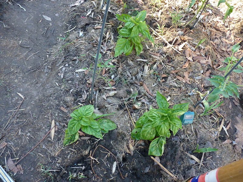 P1060844.JPG