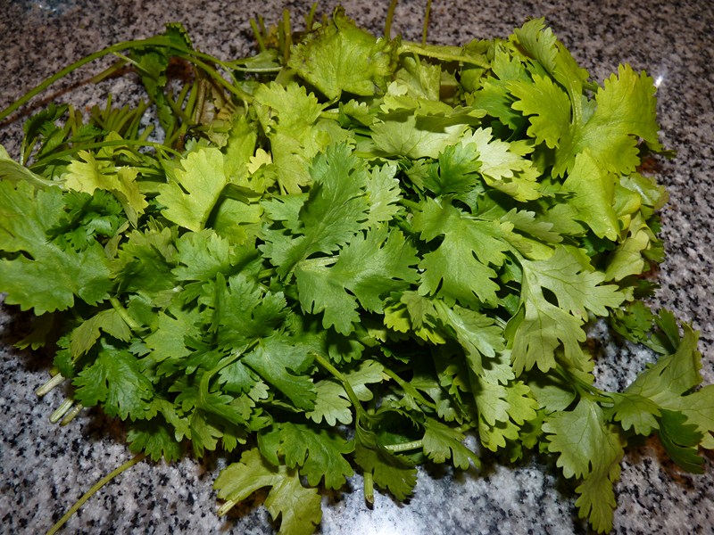 P1060913.JPG
