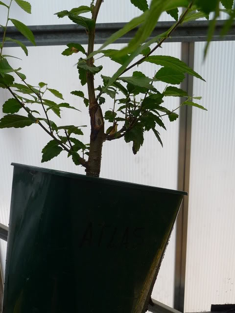 P1060969-1.jpg