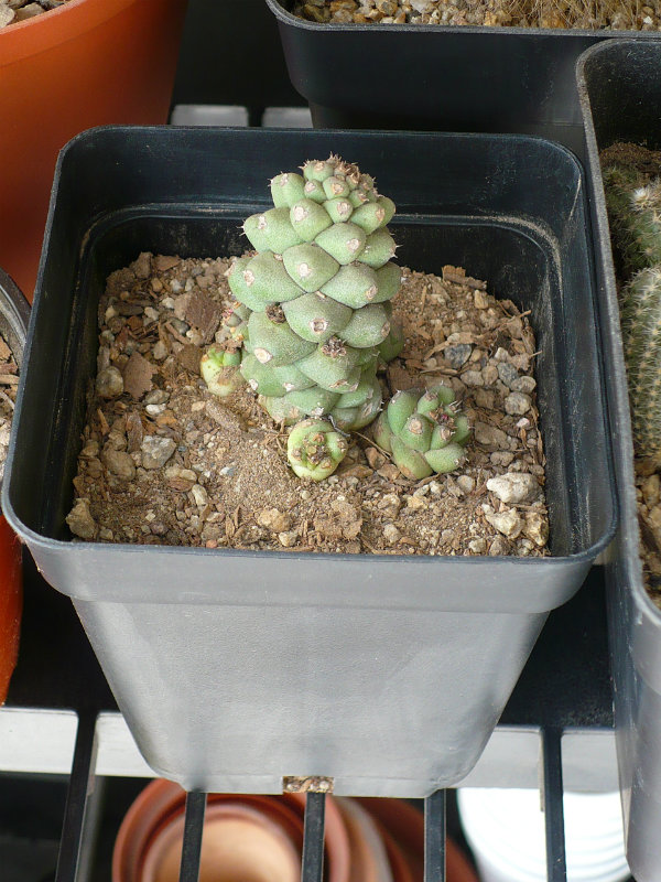 P1070209.JPG