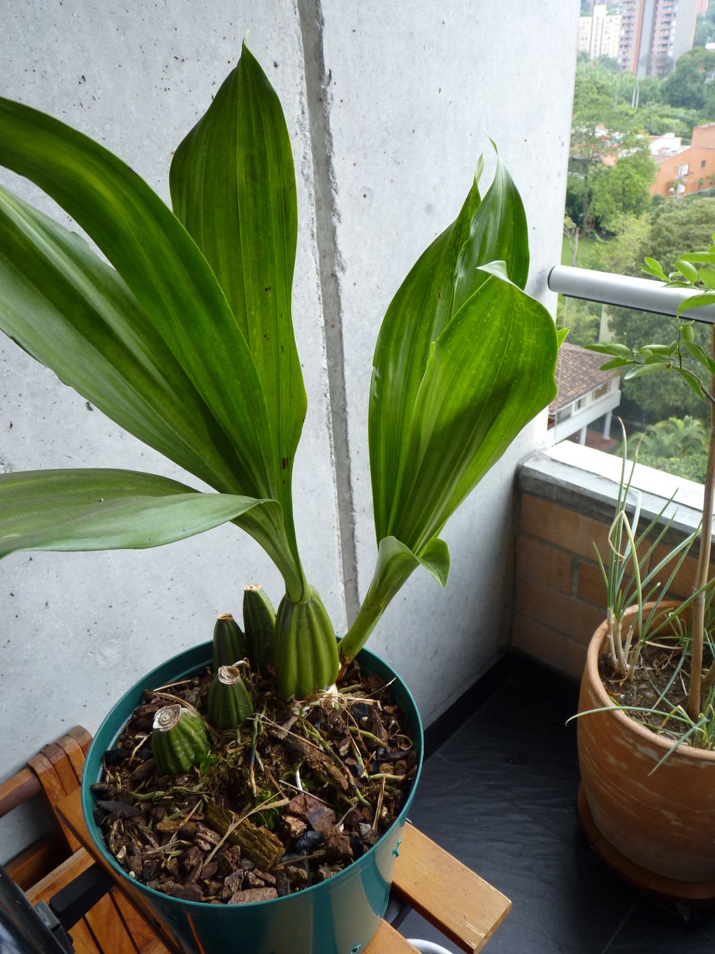 P1070754.jpg