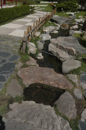 P1080156.jpg