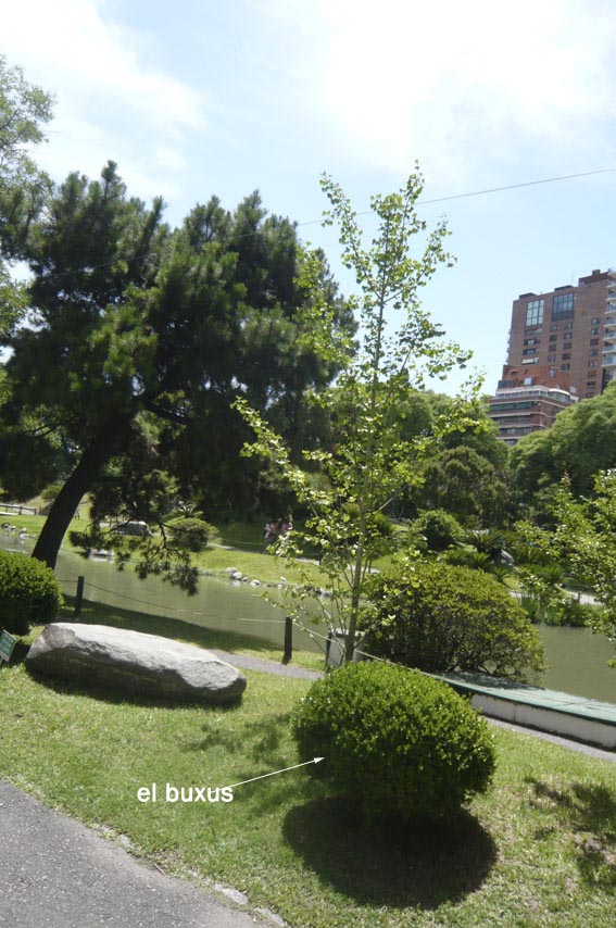 P1080193.jpg