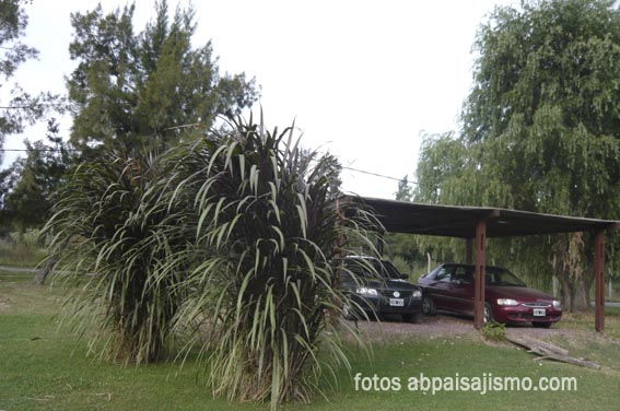P1080460.jpg