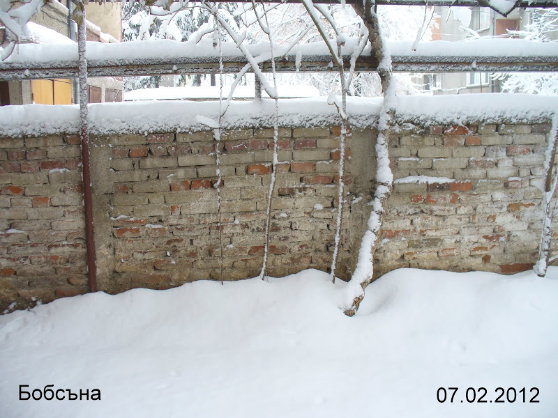 P1090041.JPG