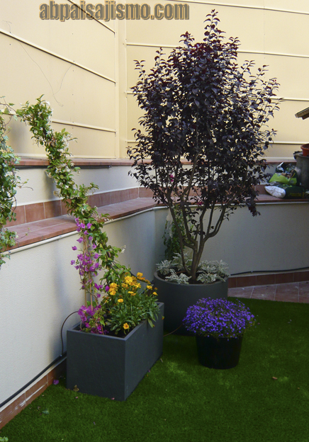 P1090055.jpg