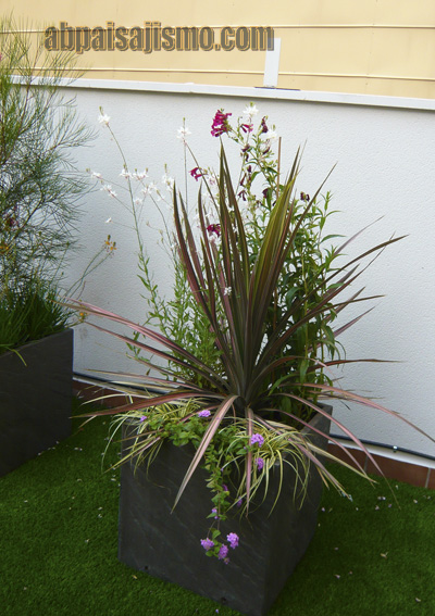 P1090061.jpg
