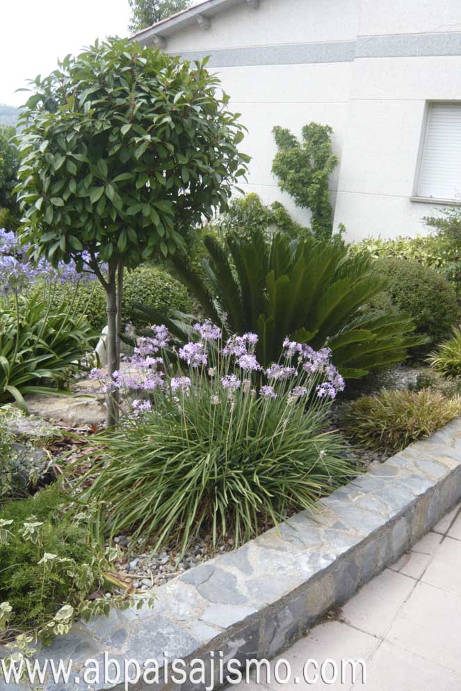 P1090498.jpg