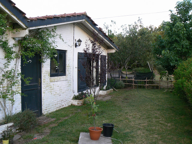 P1110206.JPG