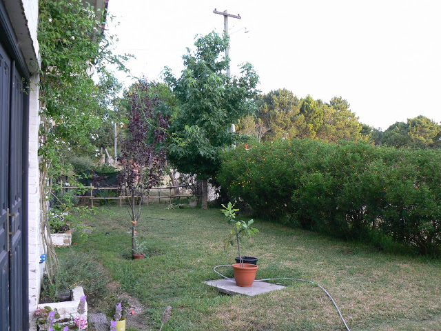 P1110207.JPG