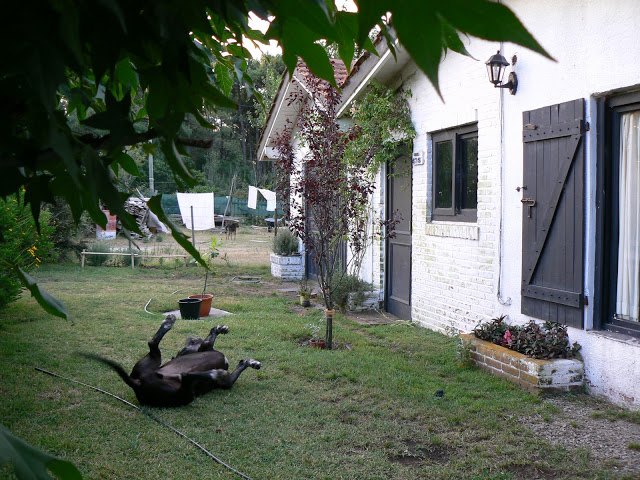 P1110213.JPG