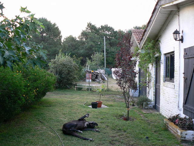 P1110215.JPG