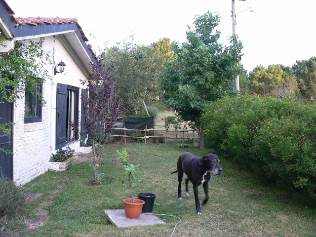 P1110218.JPG