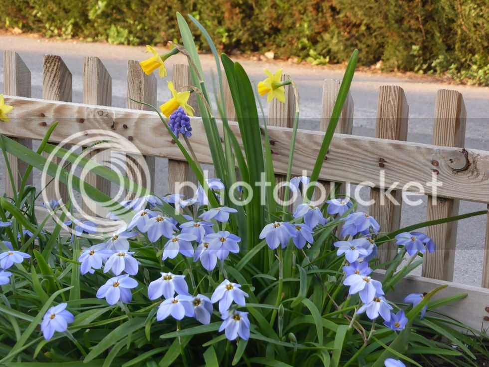 P1120334_zps3xdiyzfd.jpg