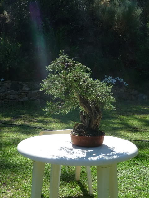 P1120355.jpg