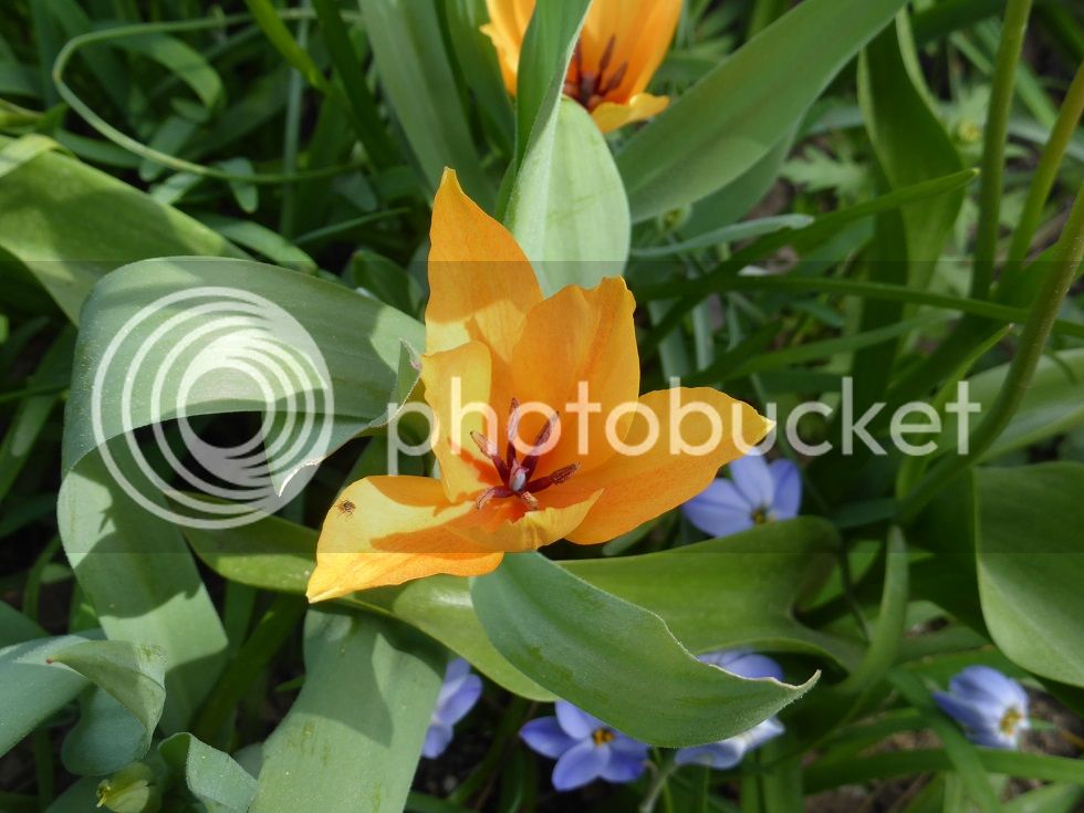 P1120529_zpsn8g7lnhx.jpg
